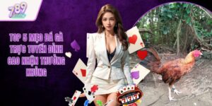 Top 5 Mẹo Đá Gà Trực Tuyến Đỉnh Cao Nhận Thưởng Khủng
