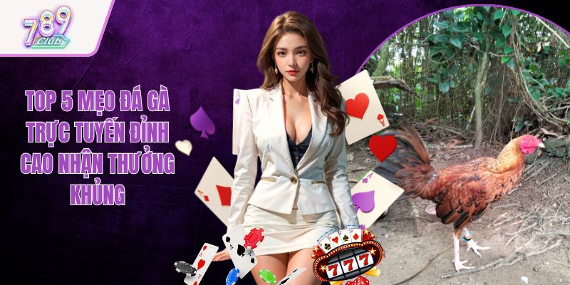 Top 5 Mẹo Đá Gà Trực Tuyến Đỉnh Cao Nhận Thưởng Khủng